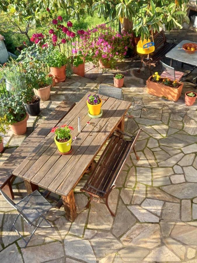 Orizontas Pilio Villa Kissos  Dış mekan fotoğraf