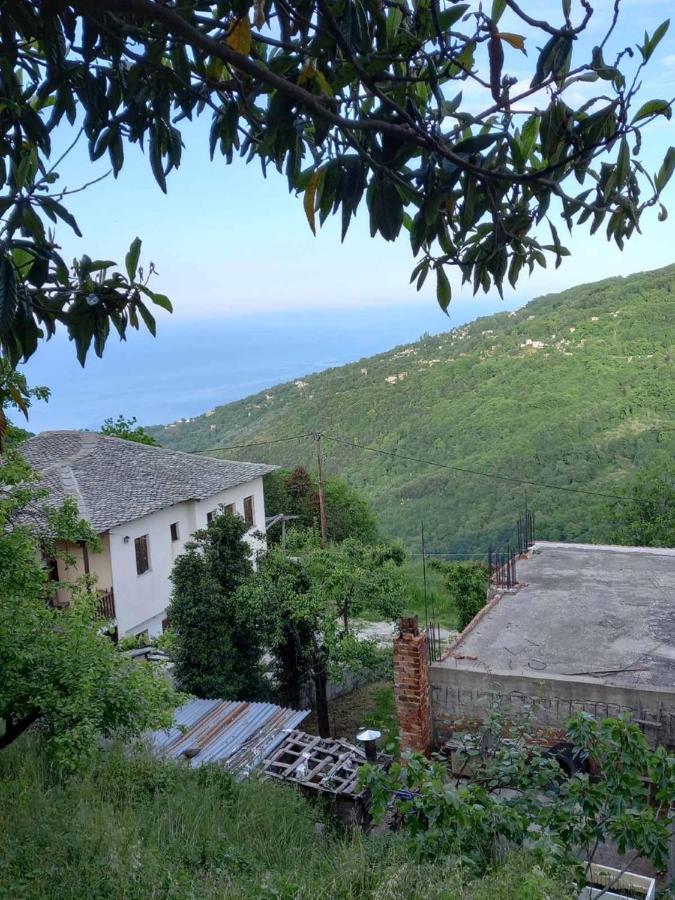 Orizontas Pilio Villa Kissos  Dış mekan fotoğraf