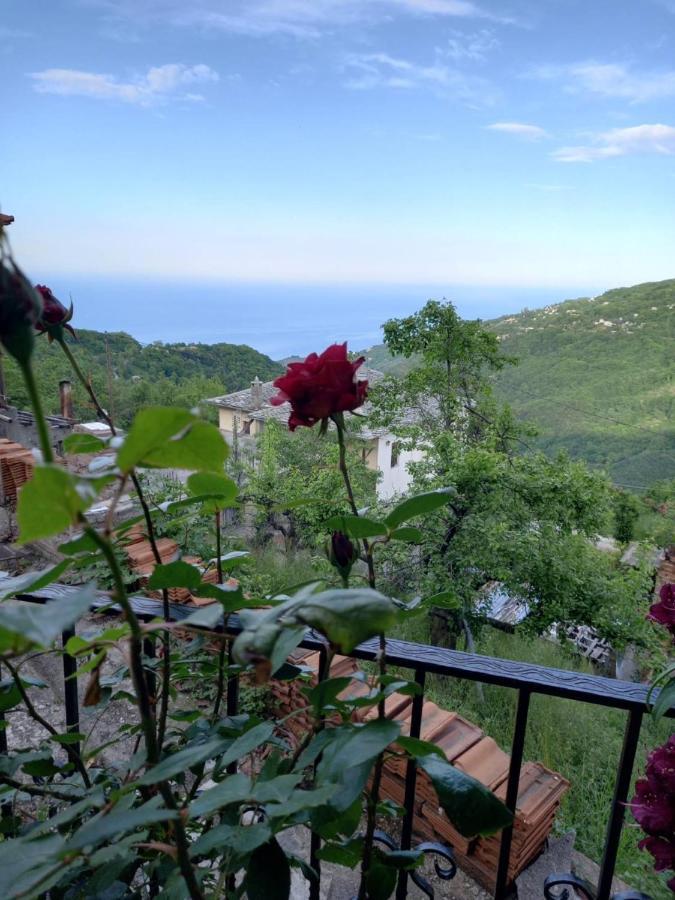 Orizontas Pilio Villa Kissos  Dış mekan fotoğraf