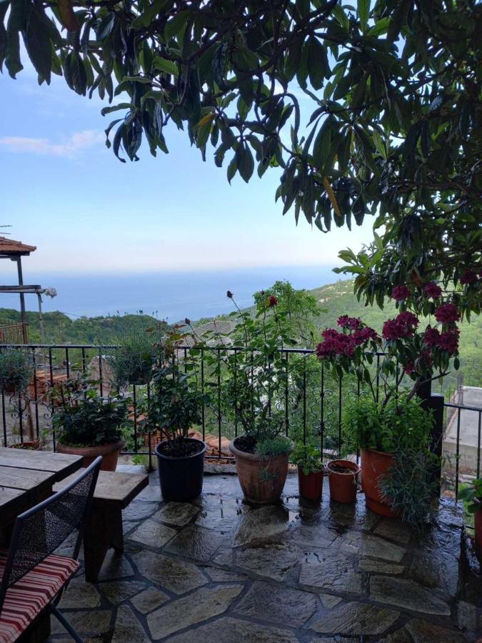 Orizontas Pilio Villa Kissos  Dış mekan fotoğraf