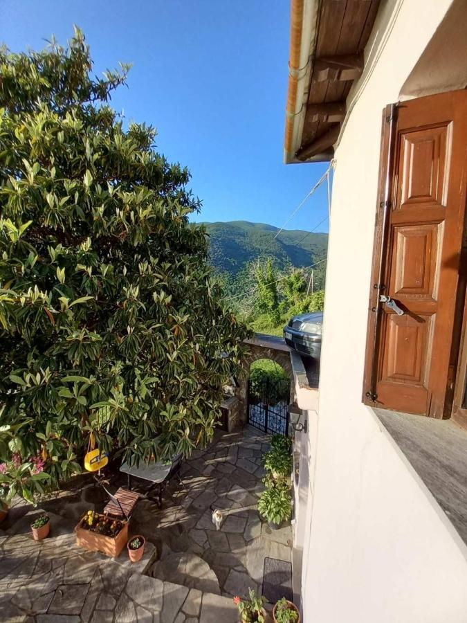 Orizontas Pilio Villa Kissos  Dış mekan fotoğraf